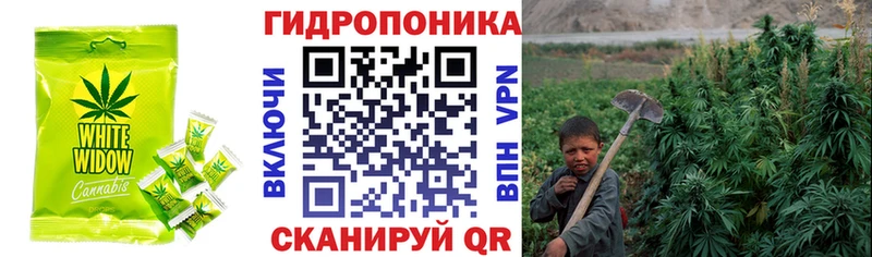 Купить закладки  Сегежа  Печенье с ТГК конопля 