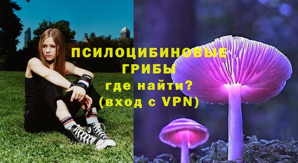 бутират Каменногорск